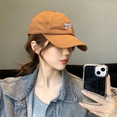 继承者风云