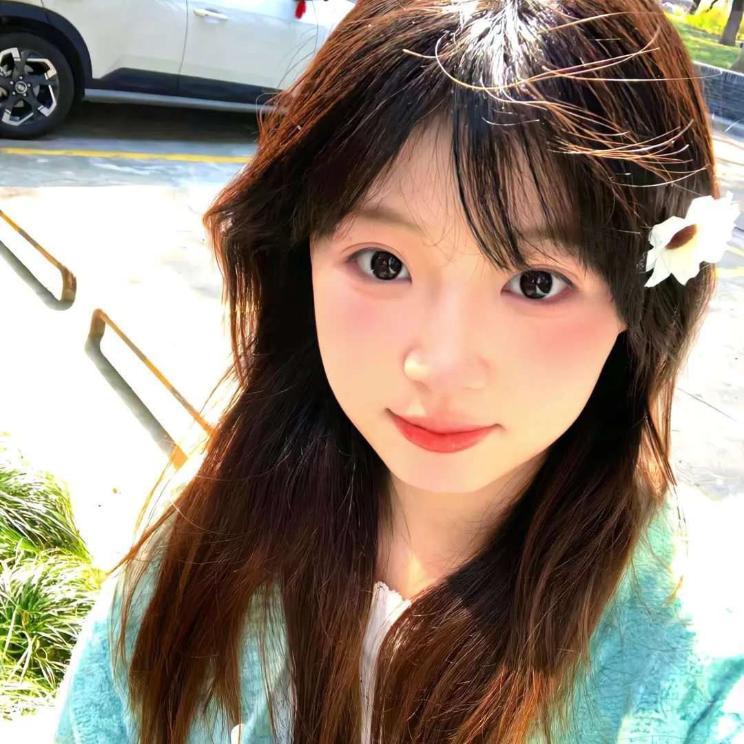 猫头鹰之森